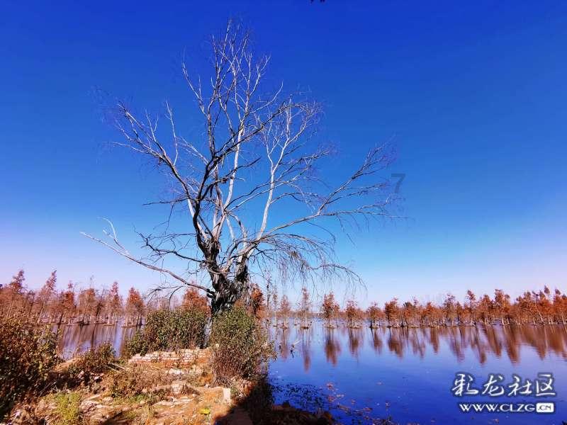 你怎么理解「看脸」？